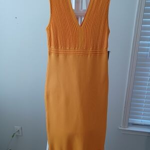 Eva Mendes for New York & Company Vibrant Orange Maxi Dress